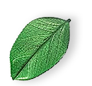 floating_leaf_01 https://mkekawash.com/wp-content/uploads/2025/07/floating_leaf_01.png